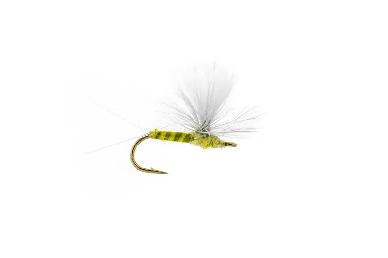 Solitude Winger Parachute Dry Fly – Pmd Pattern (3-Pack) 1