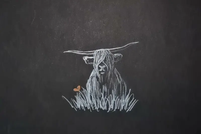 U514 Polychromo Original Artwork – 'Highland Coo #12' 1