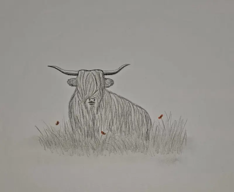 U517 Polychromo Scottish Art Figure: Highland Coo #17 1