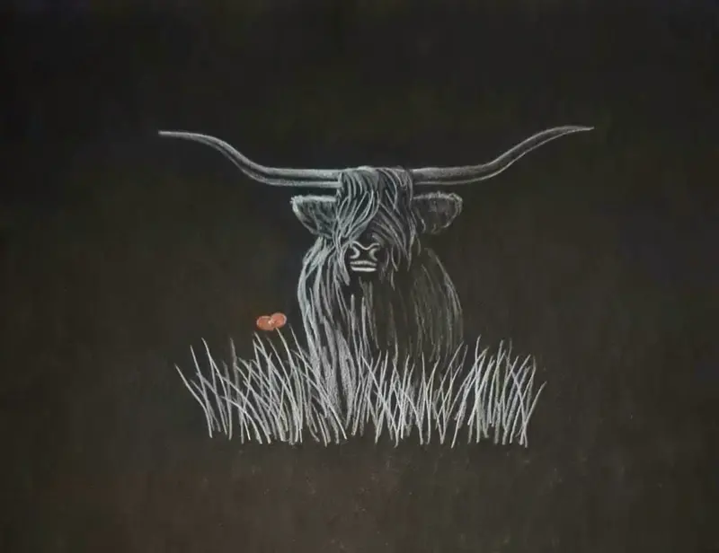 U518 Polychromo Original Artwork – 'Highland Coo #18' 1