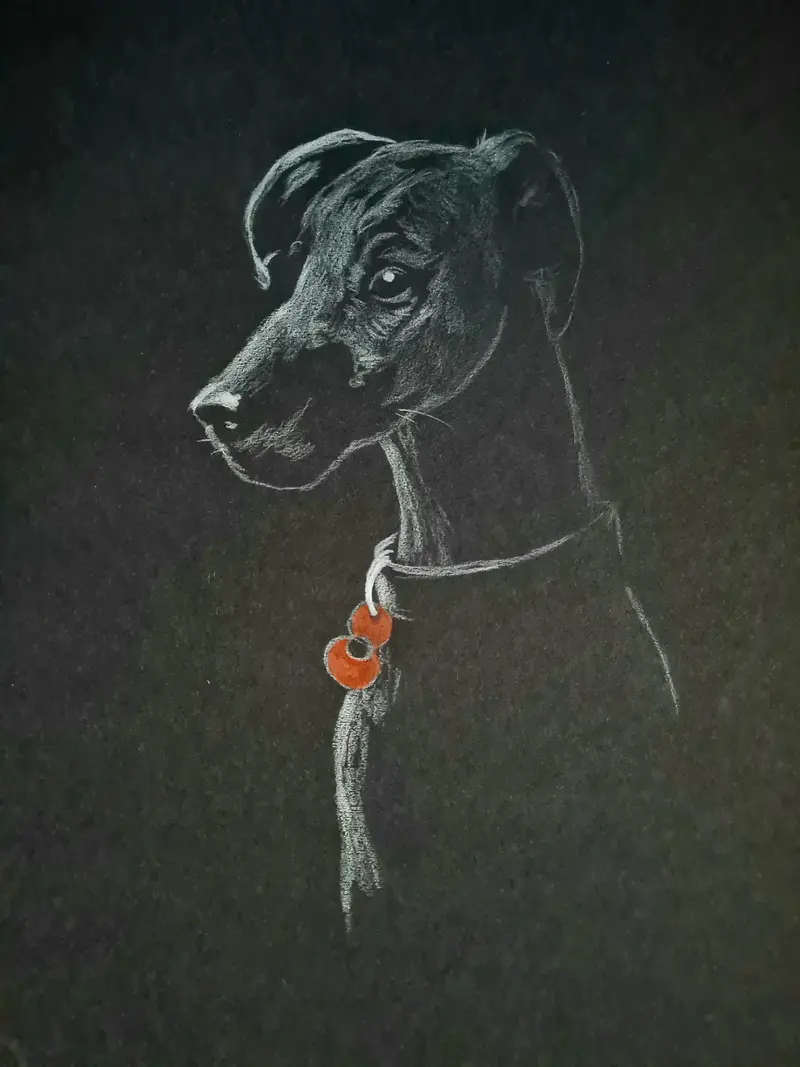 U574 Polychromo Canine Model: Poppy Dog #43 1