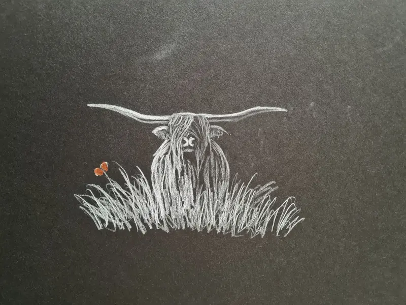 U604 Polychromo Original Artwork – Highland Coo Series #22 1