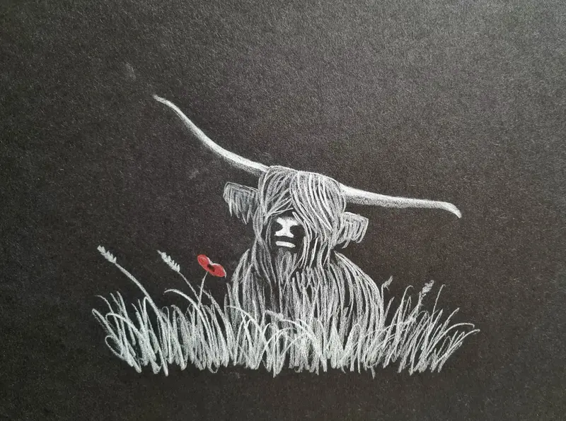 U606 Polychromo Original Artwork – Highland Coo Series #24 1