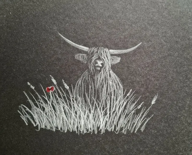 U608 Polychromo Original Artwork – Highland Coo Series #26 1