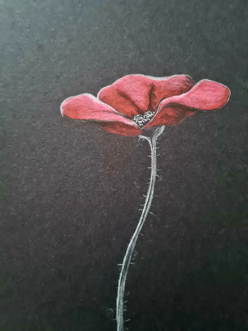 U645 Original Polychromo — 'Just A Poppy #7' 1
