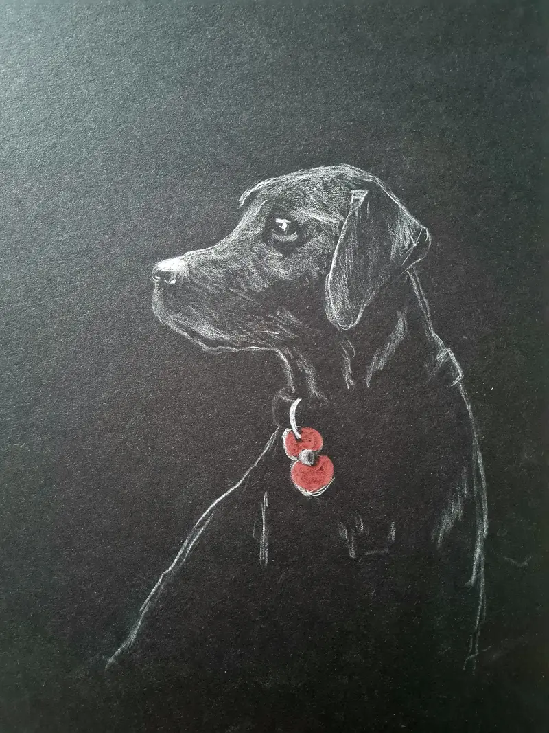 U674 Original Polychromo Illustration: 'Poppy Dog No. 54' 1
