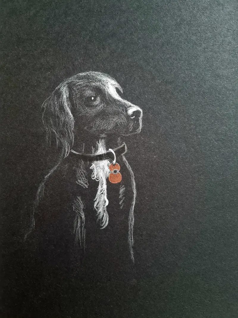 U686 Original Polychromo Piece: 'Poppy Dog No. 56' 1