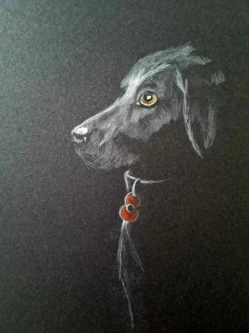 U688 Original Polychromo Artwork: 'Poppy Dog No. 58' 1