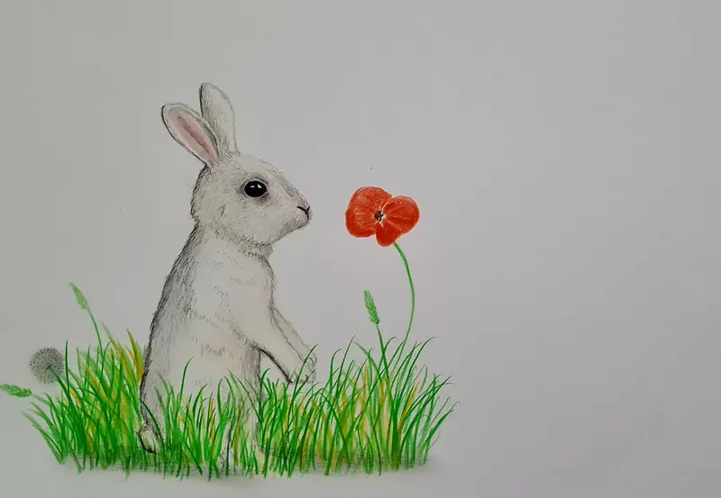 U716 Original Polychromo Illustration – 'White Rabbit' 1