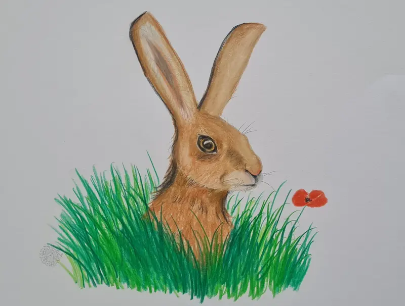 U720 Original Polychromo Creation – 'Mad March Hare' 1