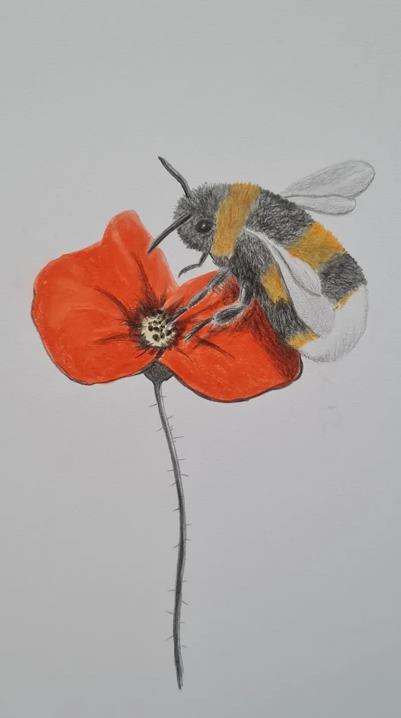 U722 Original Polychromo Art – 'Wee Bee' 1