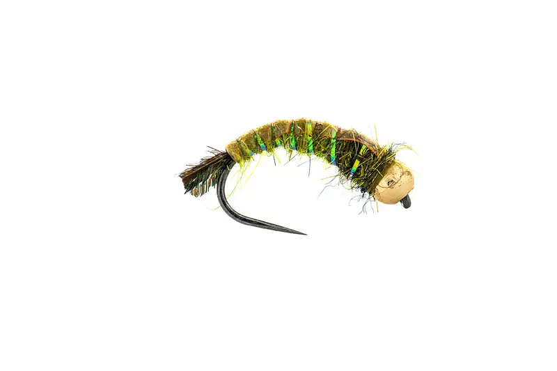 Umpqua Egan'S Gti Caddis Fly In Olive – 3-Pack 1