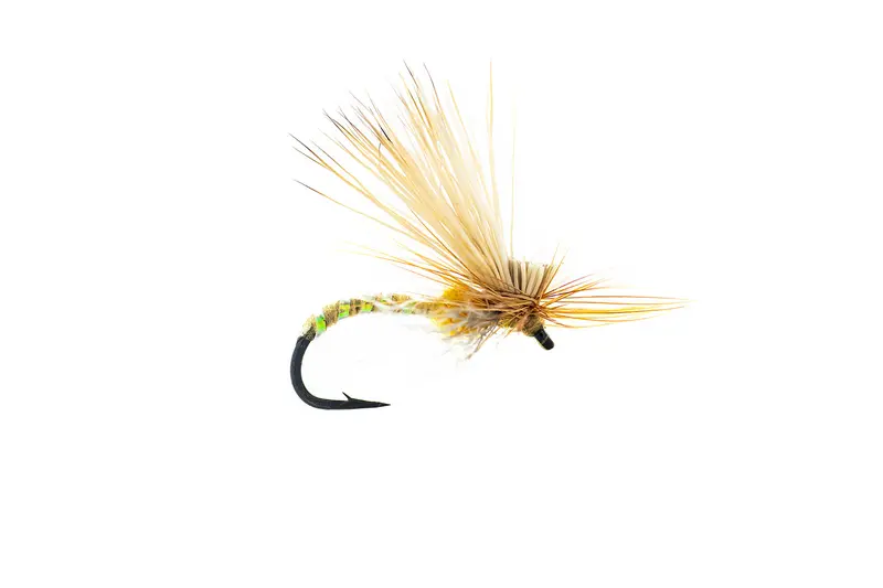 Umpqua Missing Link Caddis Pattern – 3-Pack 1