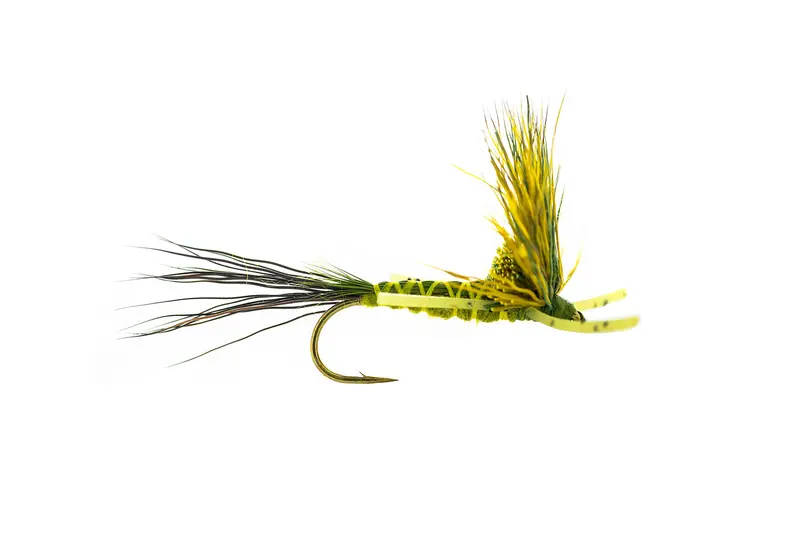 Umpqua Nealley'S Green Drake Mayfly Imitation – 3-Pack 1