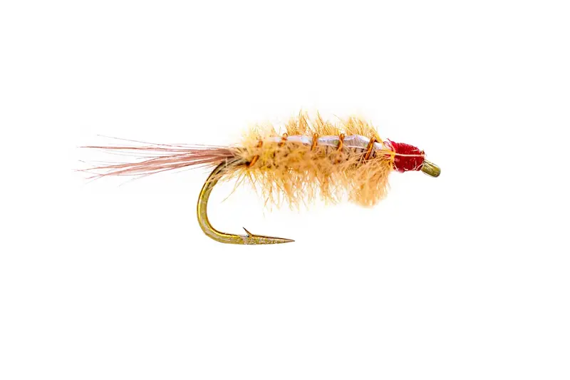 Umpqua Ray Charles Tan Fly Pack – 3-Count 1