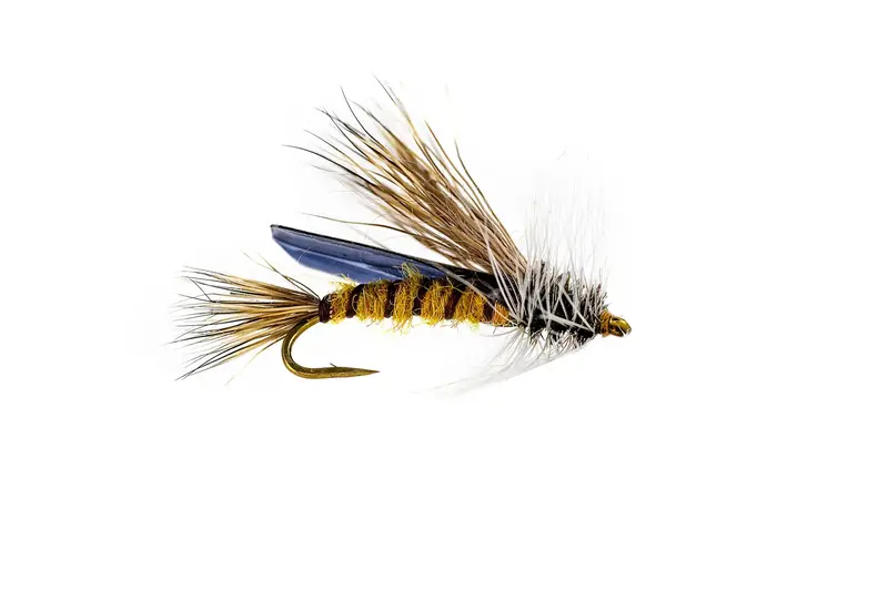 Umpqua Silvey’S Little Olive Stone Skwala Fly Pack – 3-Count 1