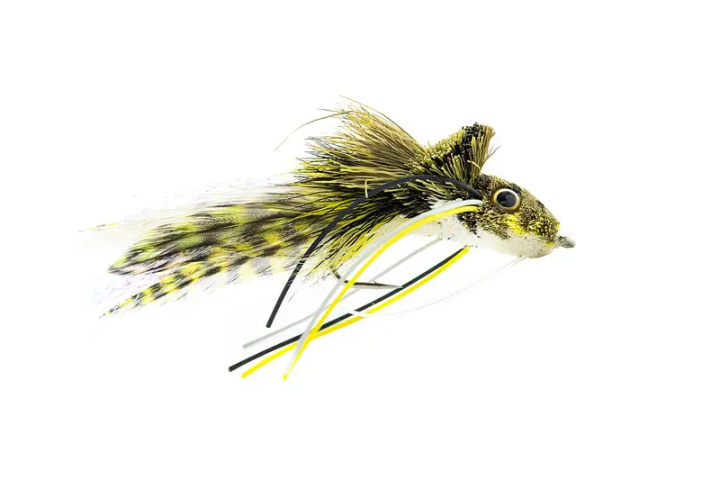 Umpqua Swim Frog Fly With White Belly – 3-Pack 1