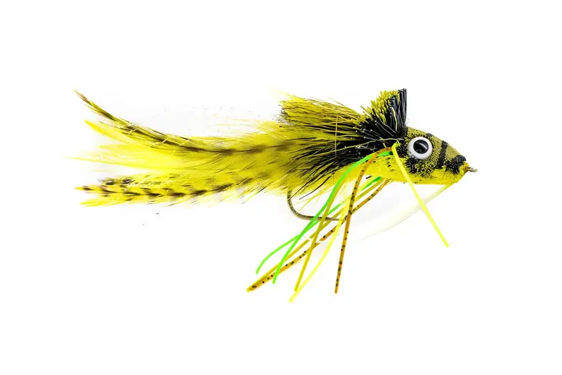 Umpqua Swim Frog Yellow Belly Fly Pack – 3-Count 1