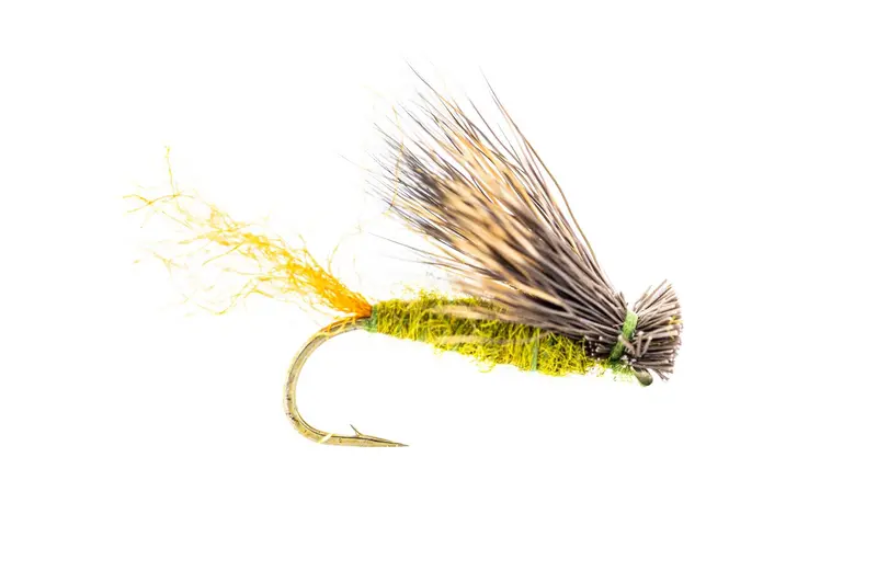 Umpqua X Caddis Olive Nymph Fly Pack – 3-Pack 1