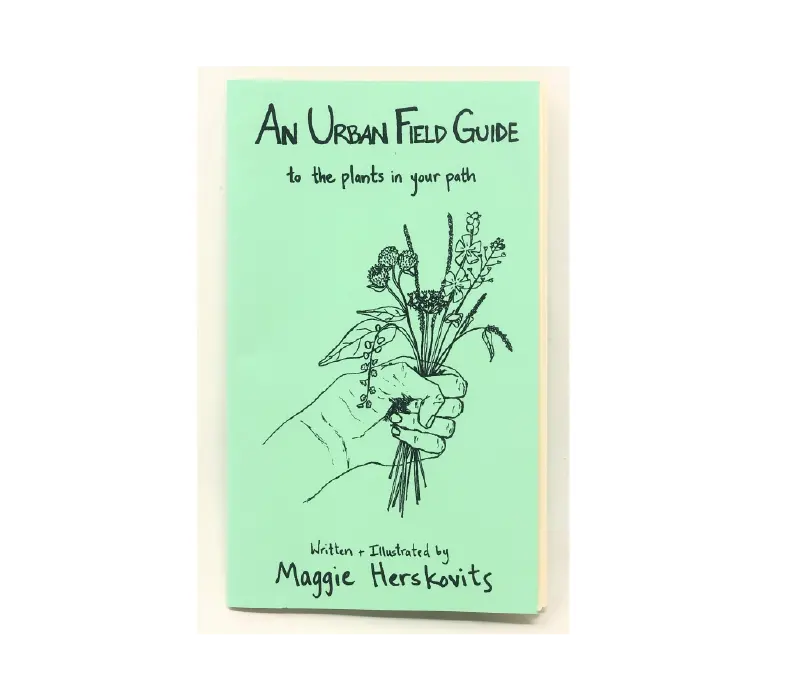 Urban Field Guide To Common City Plants – Illustrated Zine 1