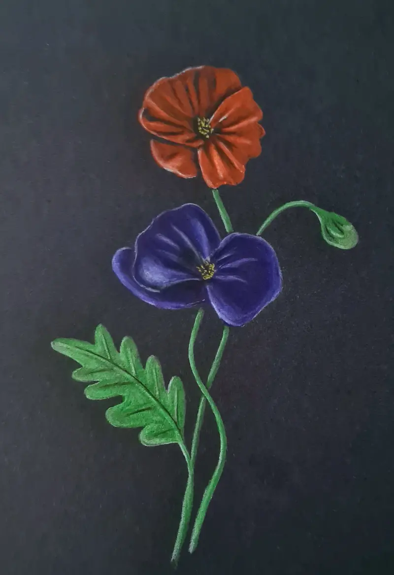Vibrant Polychromo Composition: 'Poppy Mix' 1