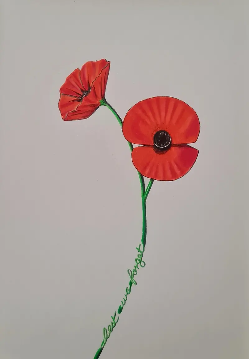 Wild Poppy – Original Polychromo Illustration 1