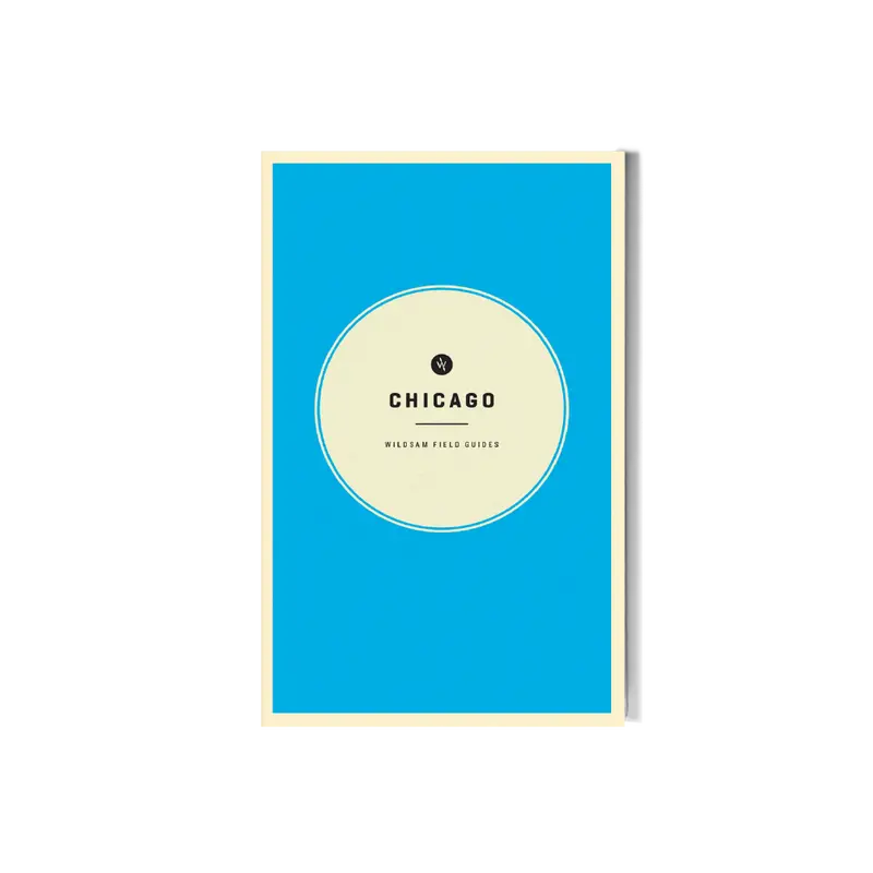 Wildsam Chicago Architecture & Culture Guide 1